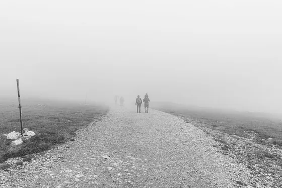 landscape, foggy weather condition, road, black and white photography, art zoom studio